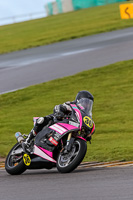 PJ-Motorsport-2019;anglesey-no-limits-trackday;anglesey-photographs;anglesey-trackday-photographs;enduro-digital-images;event-digital-images;eventdigitalimages;no-limits-trackdays;peter-wileman-photography;racing-digital-images;trac-mon;trackday-digital-images;trackday-photos;ty-croes